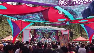 Perplex - Music Generacion - on top @Micology 2019