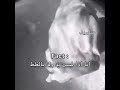 #تصميمي#عالم_الفيك#بدون_مسيقى#kpop
