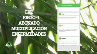 APPS PARA EL CUIDADO DE PLANTAS - NATURAL screenshot 4