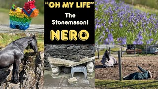 Nero’s 🌈 love/hate relationship with STONE! / Perfect packages | Springtime Flora 🌼🪻