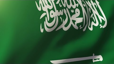 Saudi Arabia Flag Waving In The Wind. Looping Sun Rises Style. Animation Loop Stock Animation