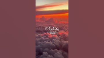 ما تيسر من سورة الغاشية | القرآن الكريم | القارئ عبد الرحمان مسعد