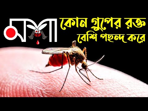 ভিডিও: রক্তের গ্রুপ অনুযায়ী মশা কামড়ায়?