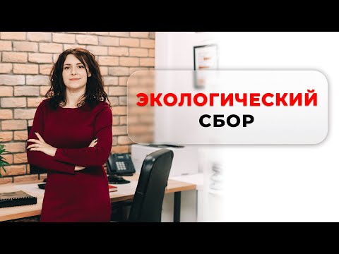 Экологический сбор | 3 вида отчётности