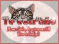 Dj Tutis - Proyecto Venus - 21 - Mi Niña Te Extraño (Instrumental Romantica) (Firmex Oldies Rap)