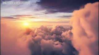 Bojo Mujo-Thalabodiba