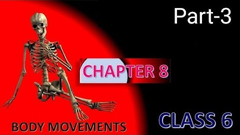 Body Movements/Class-6/Ch-8/CBSE/NCERT/CTET/Part-3