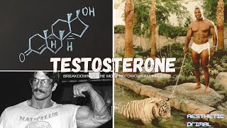 Understanding the intricacies of Testosterone (masculinize yourself)