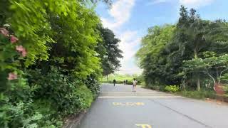 Random Cycling - Jurong Lake Gardens - Singapore