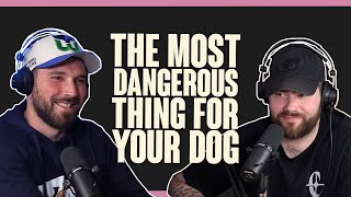 TDTD Podcast 160  The Most Dangerous Thing For Your Dog