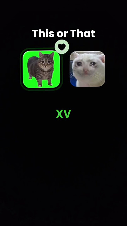 oyyya