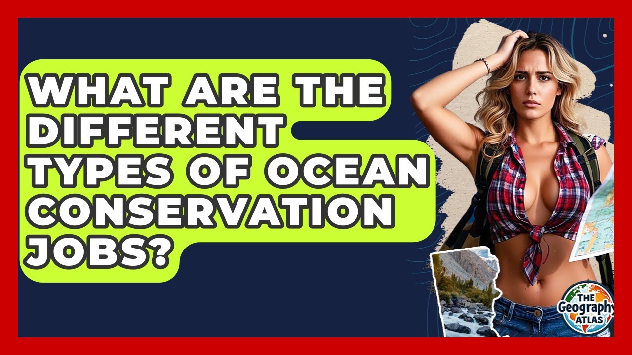 What Are The Different Types Of Ocean Conservation Jobs? - The Geography Atlas