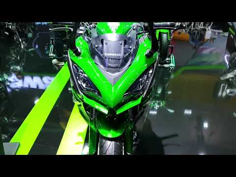 Kawasaki Ninja 1000 2019