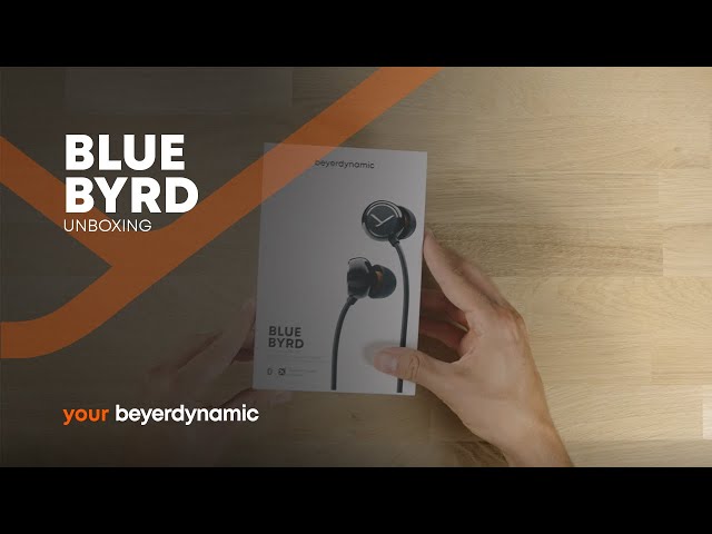 Беспроводные Bluetooth наушники Beyerdynamic Blue Byrd (2nd generation)