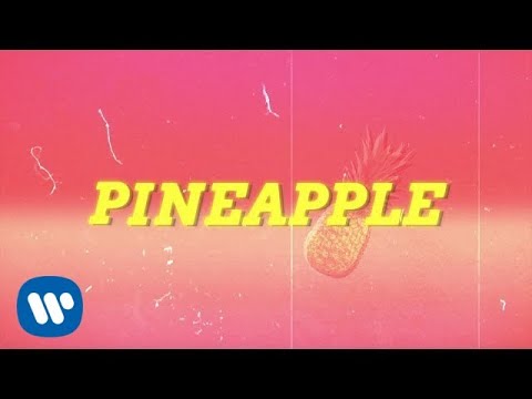 Ty Dolla $ign - Pineapple feat. Gucci Mane & Quavo [Lyric Video]