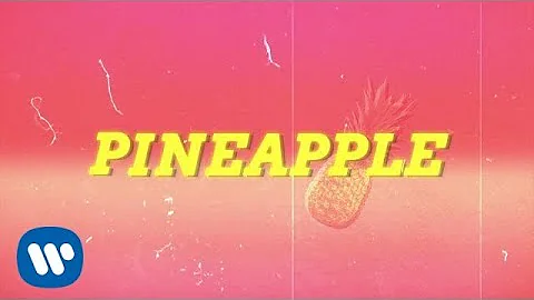 Ty Dolla $ign - Pineapple feat. Gucci Mane & Quavo [Lyric Video]