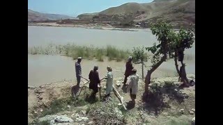 MOV09264
