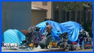 Clear homeless encampments now: LA mayoral hopeful Adam Miller | NewsNation Prime