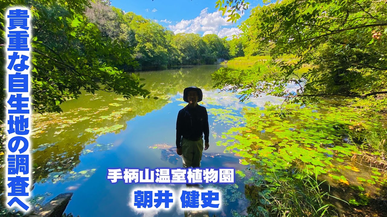 Plants of reservoirs and wetlands] Investigating the natural