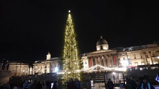 Christmas Is Around The Corner - The TRAFALGAR SQUARE Tree 2022