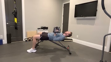 Dead Bug Hold Dumbbell (DB) Bench Press