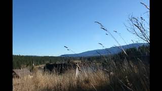 Real Estate for Sale 18 S 3rd St Roslyn WA 98941