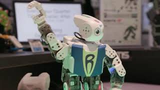 CES 2018: Artificial Intelligence on the Show Floor