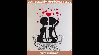 Nilüfer - Seni Beklerim Öptüğün Yerde / Diler Dündar (Cover)