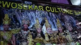 DJ PELAMPIASAN JINGGLE A.M ELEKTRO BASS BLEYER NROTOK BY DJ ZAINUL99