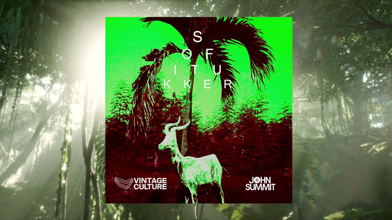 Sofi Tukker   Drinkee Vintage Culture  John Summit Remix