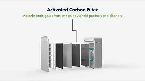 Trio Plus Portable Air Purifier