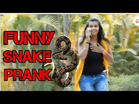 horror-snake-prank-in-india-|-2019-|-best-funny-&-horror-snake-prank