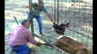 2014 Arizona Game and Fish Department Career Day screenshot 4