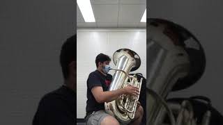 Post 1st week noodling with 6/4 CC MACK Brass ZO Thunderbird (watch till the end for fat low notes)