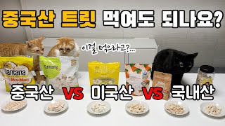 고양이 치킨트릿 종류별로 다 비교해봤습니다 / 요즘... 국산 트릿 먹여도 되나요? by 미유미-lab [고양이 연구소] 1,357 views 10 days ago 10 minutes, 49 seconds