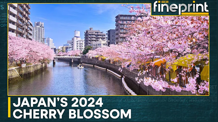 Japan: Cherry blossoms bloom in Tokyo | WION Fineprint - DayDayNews