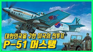 끝없이 진화되어 대한민국을 구원한 전투기 - P-51 Mustang