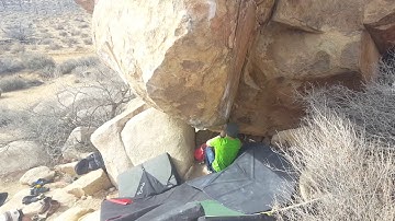 Mulligan Variation V8 flash