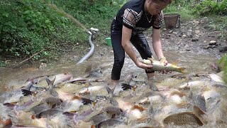 Hunting Wild Fish | Using A Pump, Pumping Water Outside The Natural Lake, Catching A Lot Fish Ep65