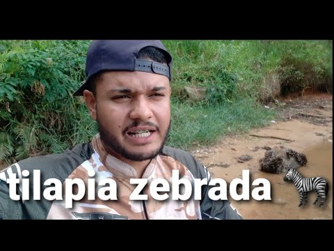 pesca na represa Paiva em mairiporã