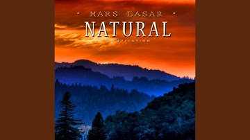 Thumbnail of Valley Of The Giants