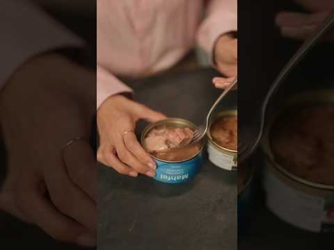 نکات مهم خرید تن ماهی یا همون ماهی تن   غذا آشپزی  غذایخوشمزه