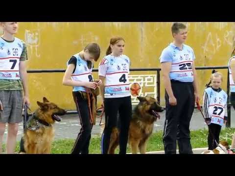 Открытый Чемпионат Динамо