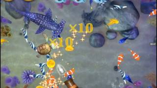 Play game "Fishing Diary" screenshot 5