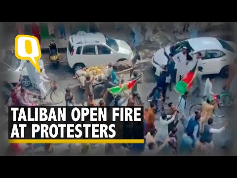 Afghan Crisis | Taliban Open Fire at Protesters Waving Afghanistan Flag in Jalalabad | The Quint