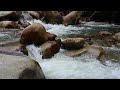 Air Terjun | Bunyi air terjun nyaman | Waterfall