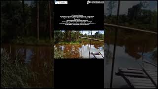 Viral Pulau Begansar Bisa Bergerak Sendiri, Hanya di Waktu-waktu Tertentu