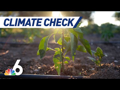 The Effect Food Production has on Climate Change