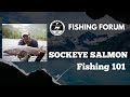 Online Fishing Forum: Sockeye Salmon Fishing 101