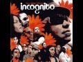 INCOGNITO. "Everybody Loves The Sunshine". 2007. version album "Bees Things Flowers".